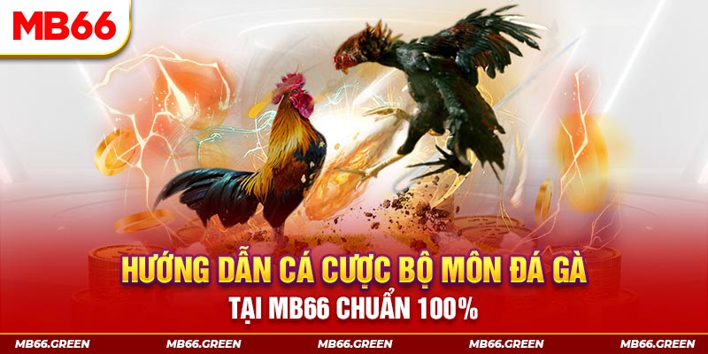 vs388 slot là gi