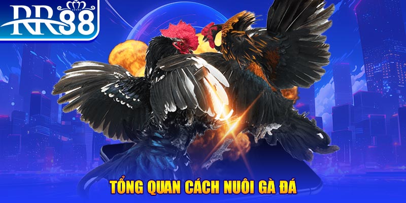 vs388 game nổ hũ rút tiền mặt là gì