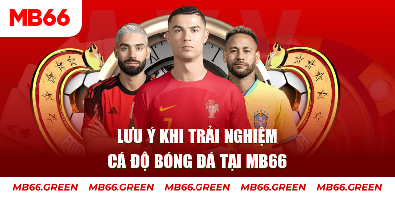 vs388 Ba viên xúc xắc