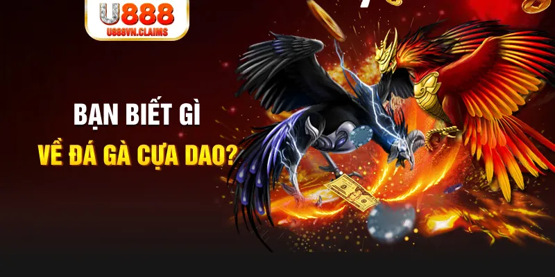 vs388 SW Xổ Số