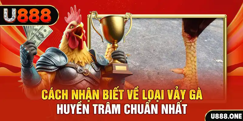 vs388 đăng nhập nổ hũ số 1