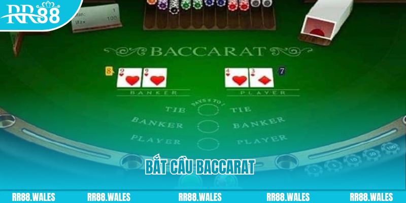 vs388 what are the best online casino games
