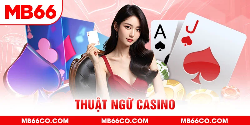 vs388 gà chọi c1 mới nhất