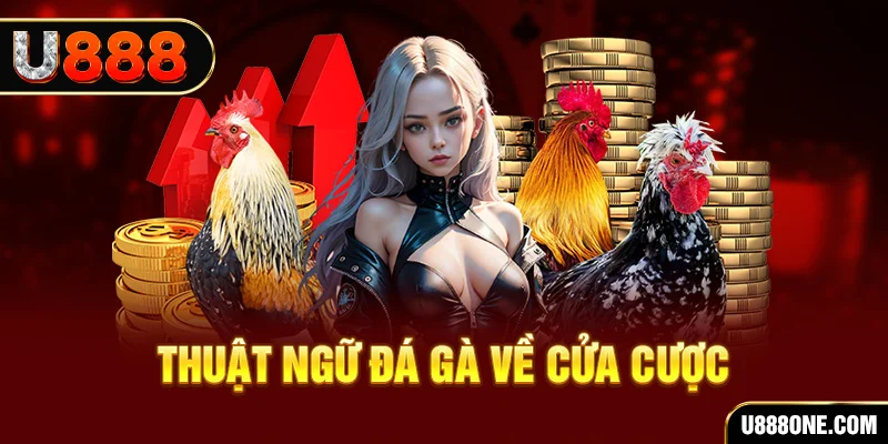 vs388 hơn cả bạn bè