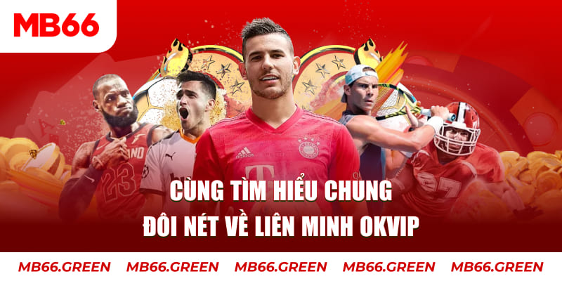 vs388 đá gà trực tiếp bình luận viên