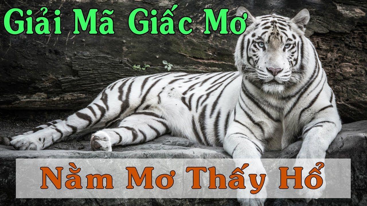 vs388 nổ hũ là game gì