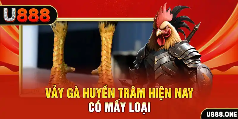 vs388 casino online là gì