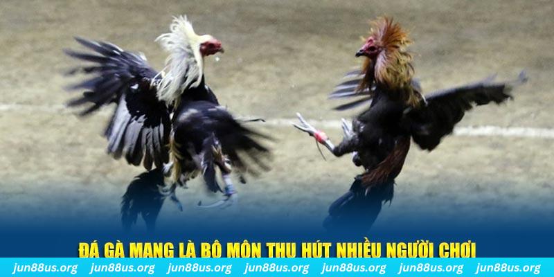 vs388 nổ hủ nghĩa là gì