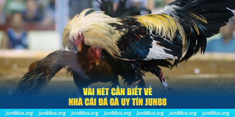 vs388 đăng nhập phỏm khuyến mãi