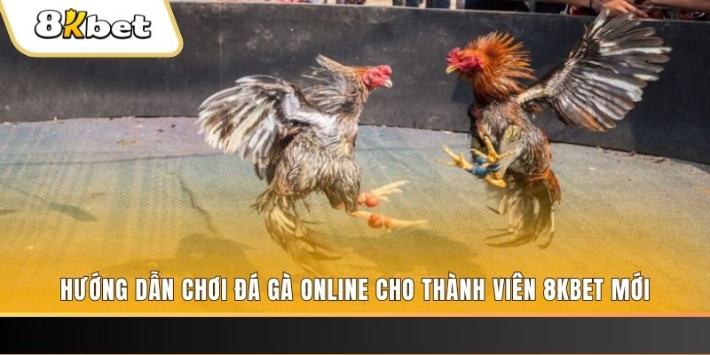 vs388 JILI Game Bài 3d
