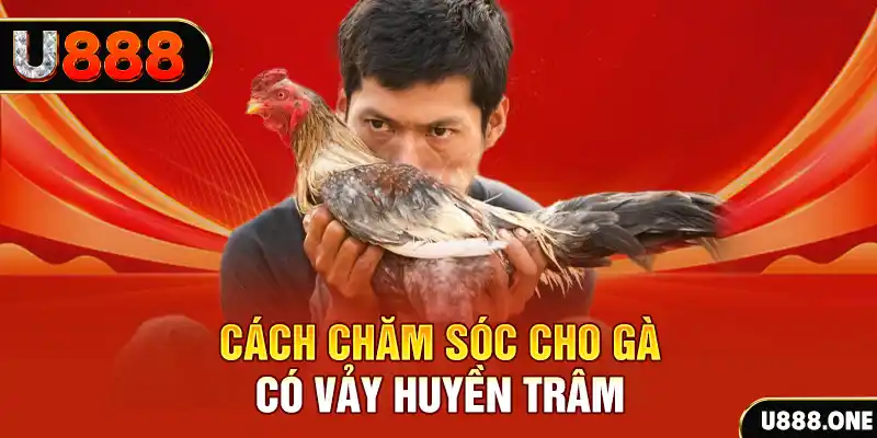 vs388 bắn cá xèng 3