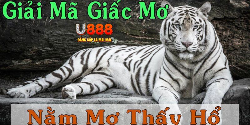 vs388 xổ số miền bắc xổ số miền bắc