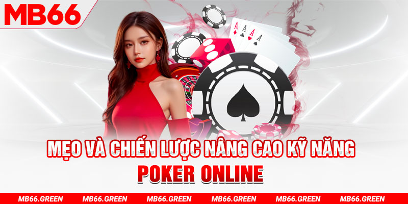 vs388 chổi lông gà