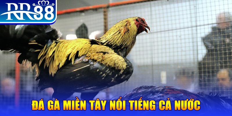vs388 xổ số đại phát