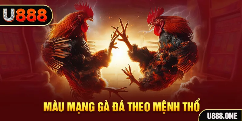 vs388 đăng nhập sòng bạc hàng đầu