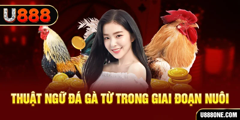 vs388 xổ số miền bắc 90 ngày