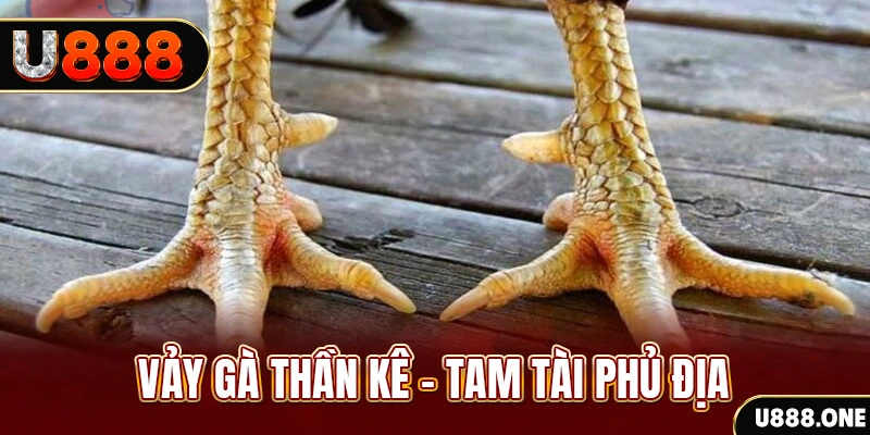 vs388 xổ số miền trung thứ hai hàng tuần