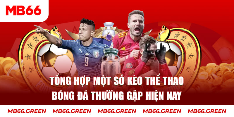 vs388 người chia bài trong casino gọi là gì