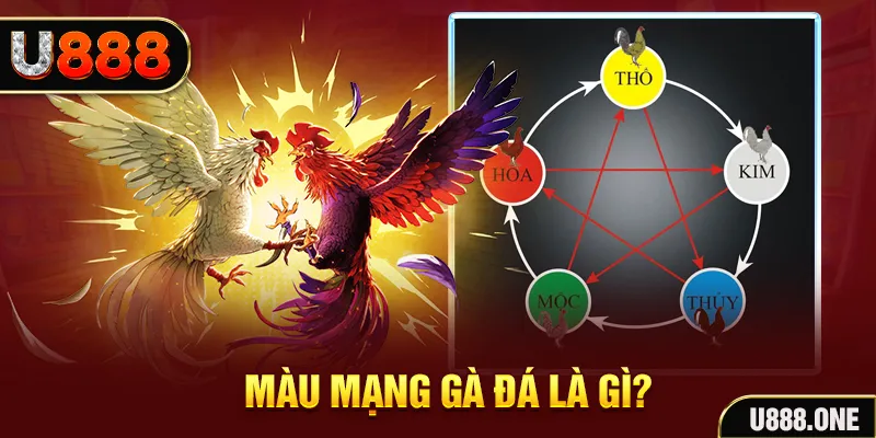 vs388 xổ số miền trung thứ tư hàng tuần