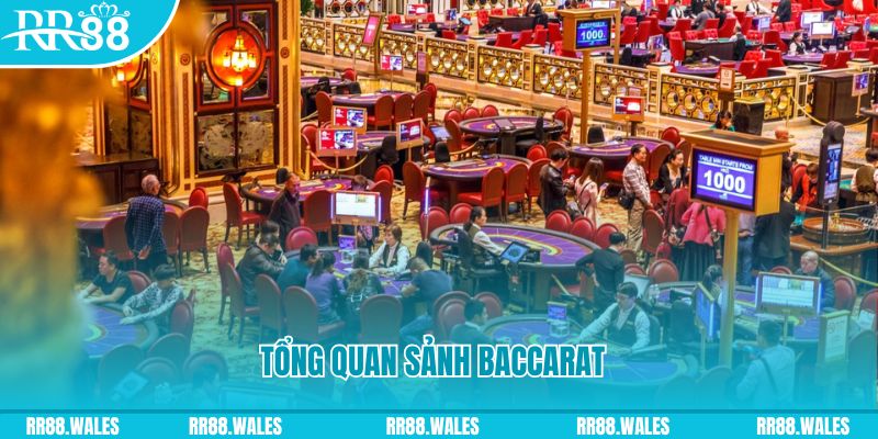 vs388 what is a casino jackpot