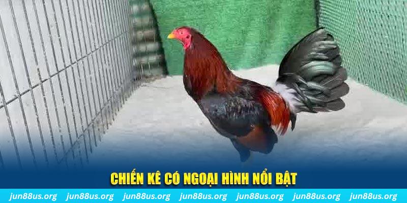 vs388 game bắn cá