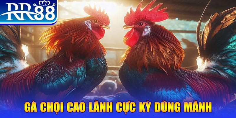 vs388 HB Điện Tử